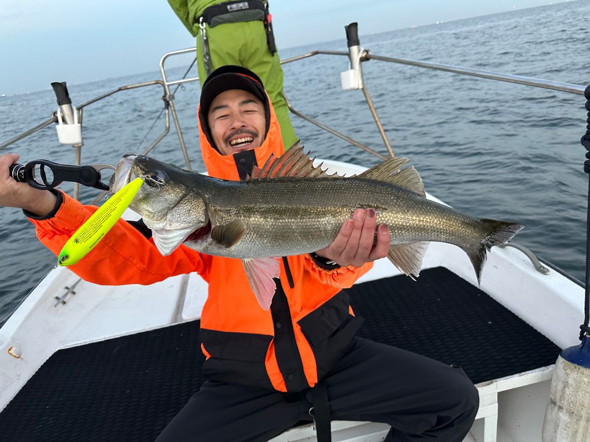 シーバス5時間便【午前】