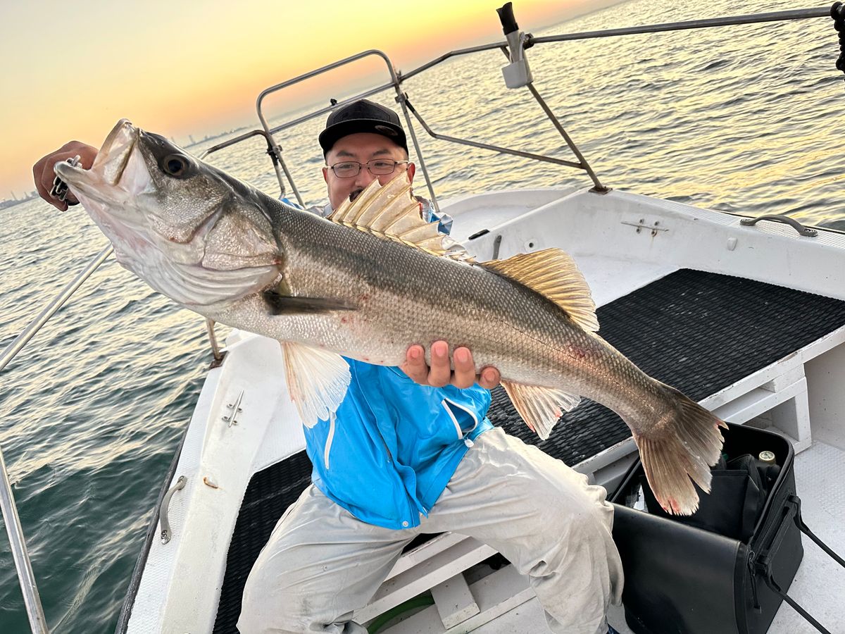 シーバス5時間便【午後】