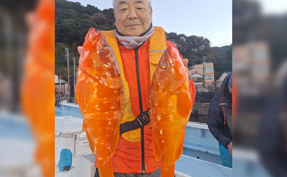 午前イワシ泳がせ五目船　ヒラメ・根魚