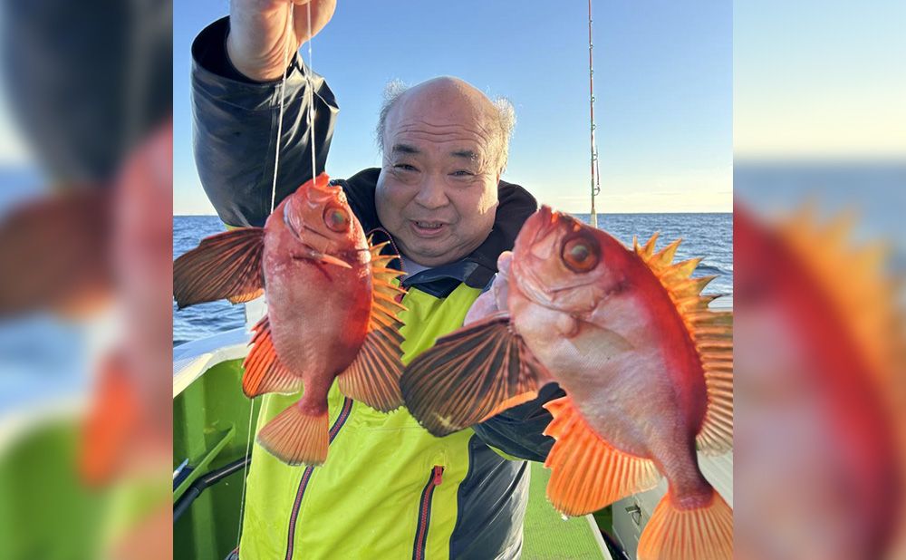 【土日祝日】貸切:コマセキントキ五目