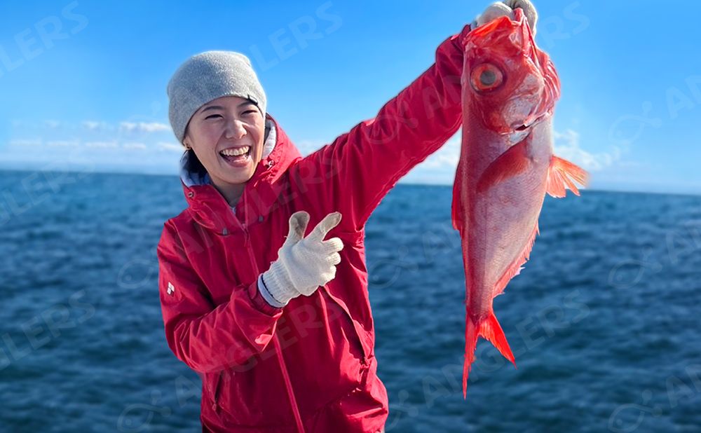 【新島沖】キンメダイ エサ釣り　乗合