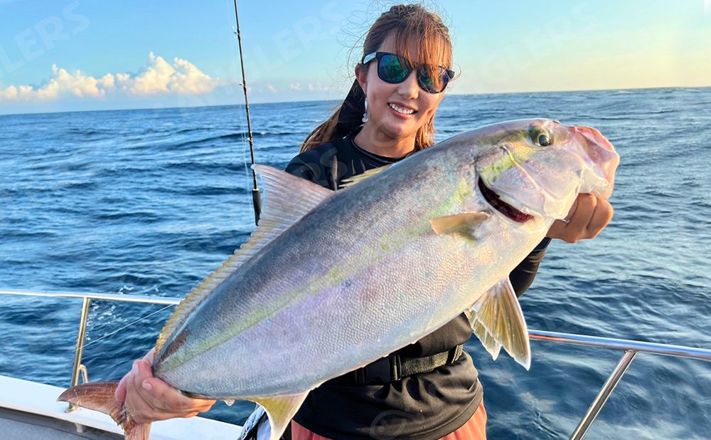 【利島〜新島】 ルアー釣り　乗合