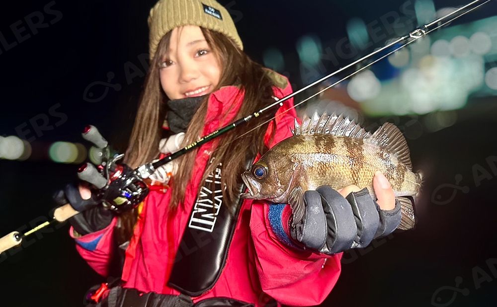 【平日仕立て】夜メバル釣りプラン