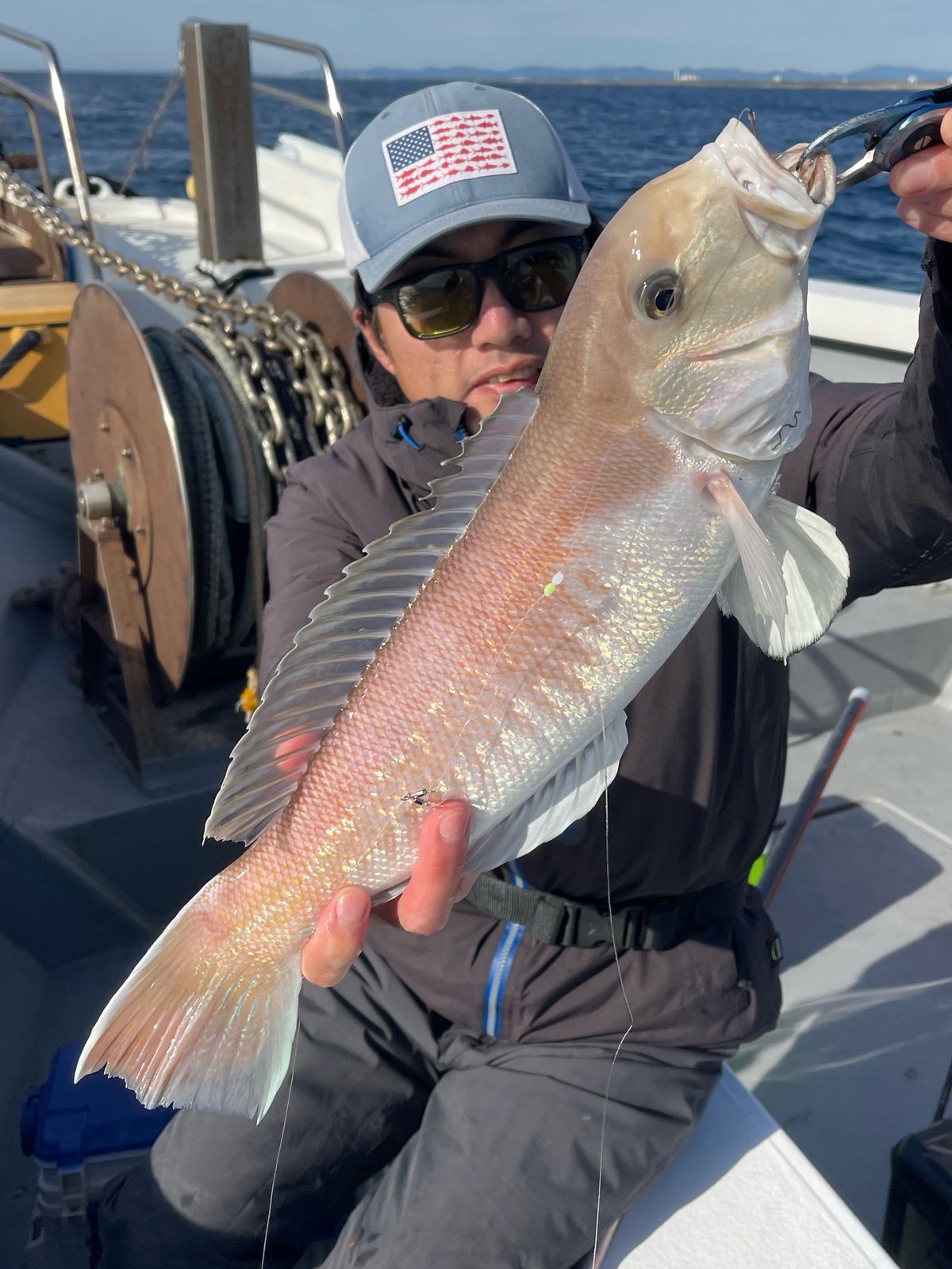 【遠州灘】アマダイ釣りプラン