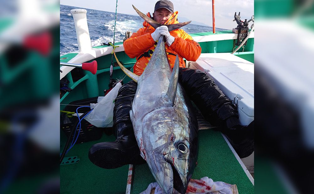 大島のマグロ　ルアープラン　※表示は最低料金となります