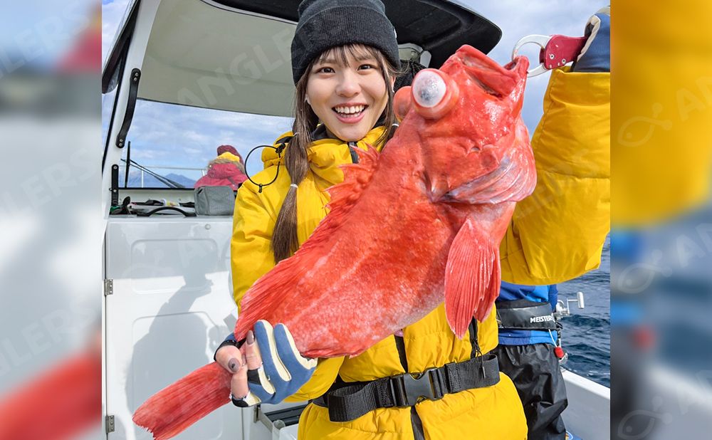 【乗合】ベニアコウ釣りプラン