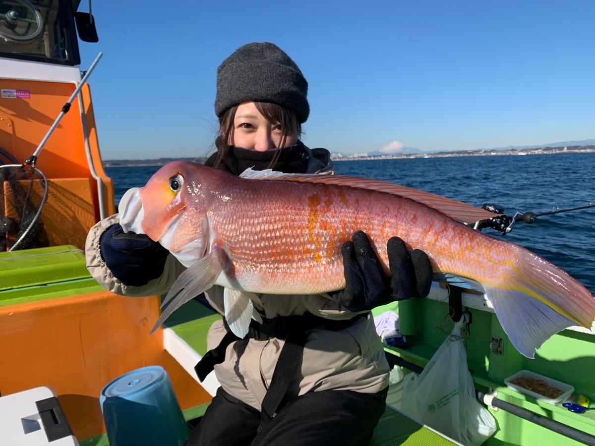 旬の釣船　東京湾アマダイプラン