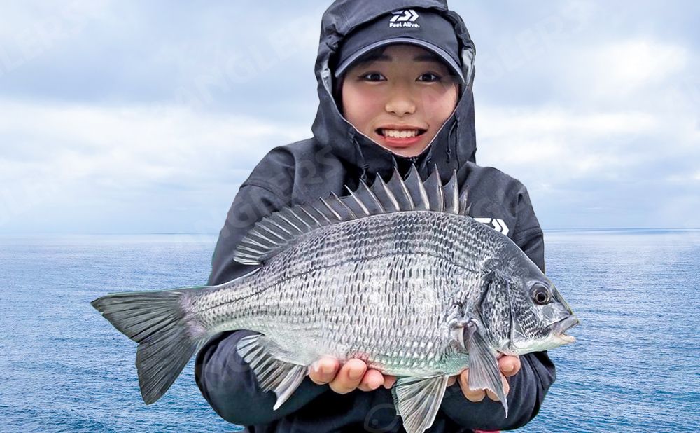 【乗合昼便】クロダイ釣りプラン