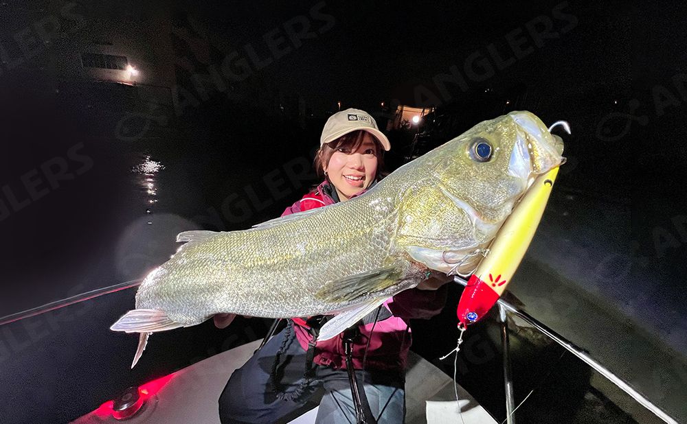 【仕立て深夜便】シーバス釣りプラン