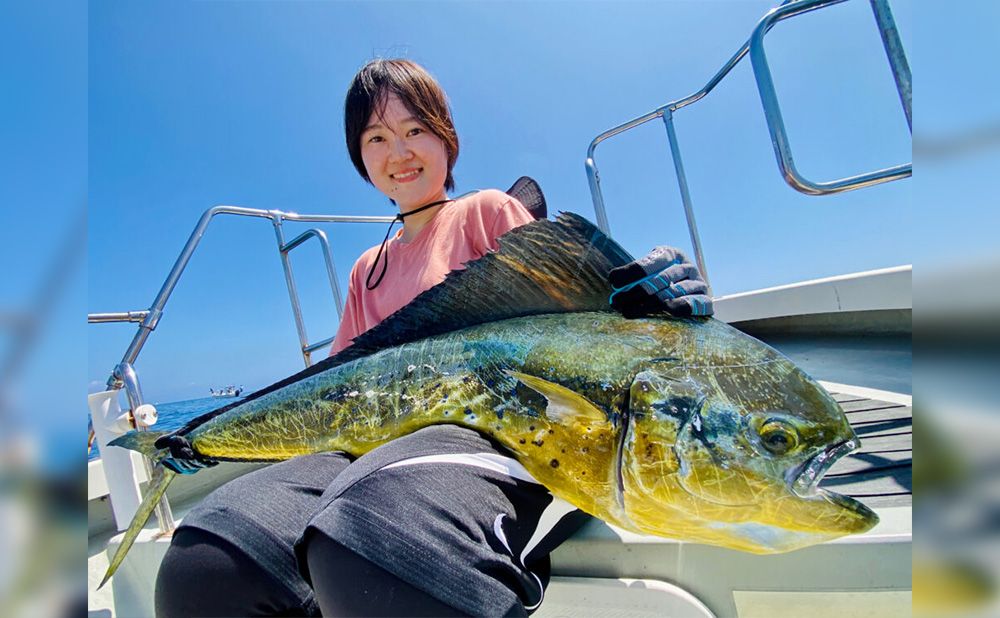 【7月~9月】
シイラ10時間乗り合いプラン