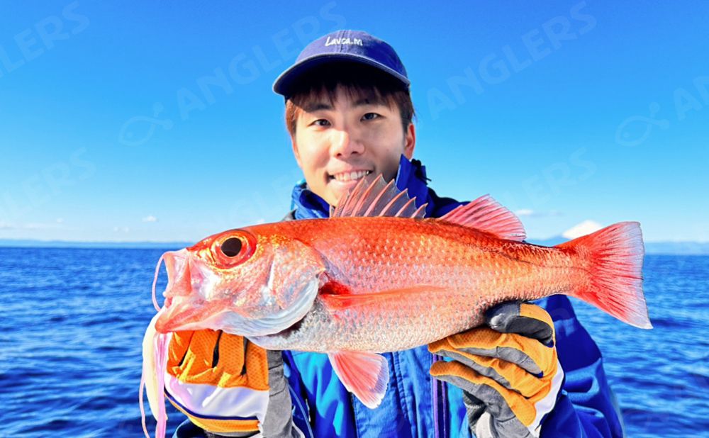【仕立て】アカムツジギング＜平日＞