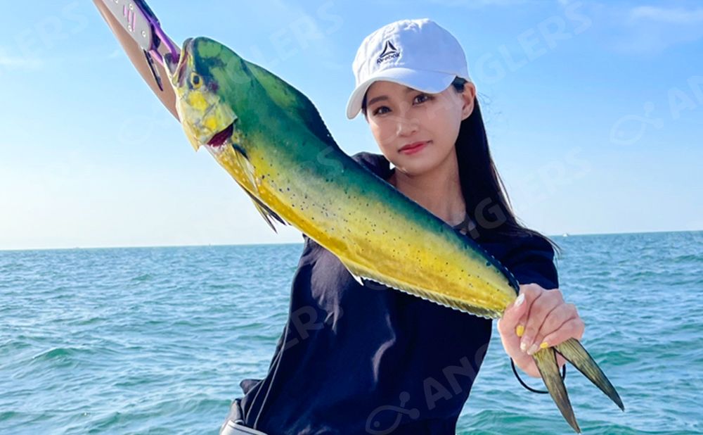 【乗り合い】飛島キャスティング 飛島近海 50kmまで