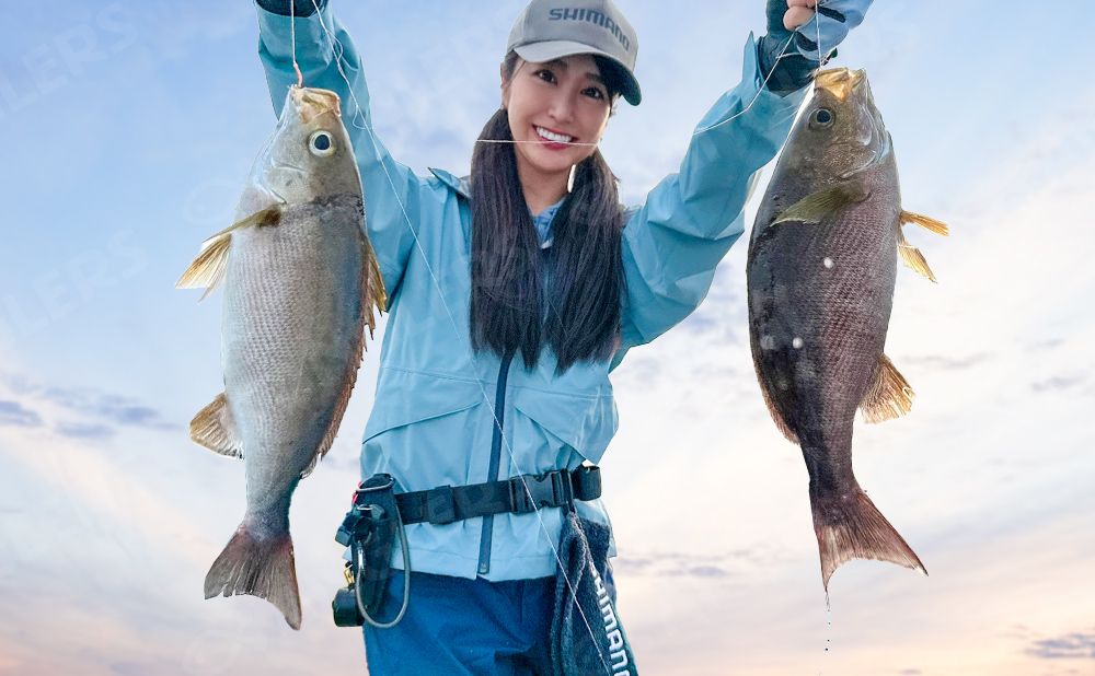 【平日貸切】イサキ　コマセ釣りプラン