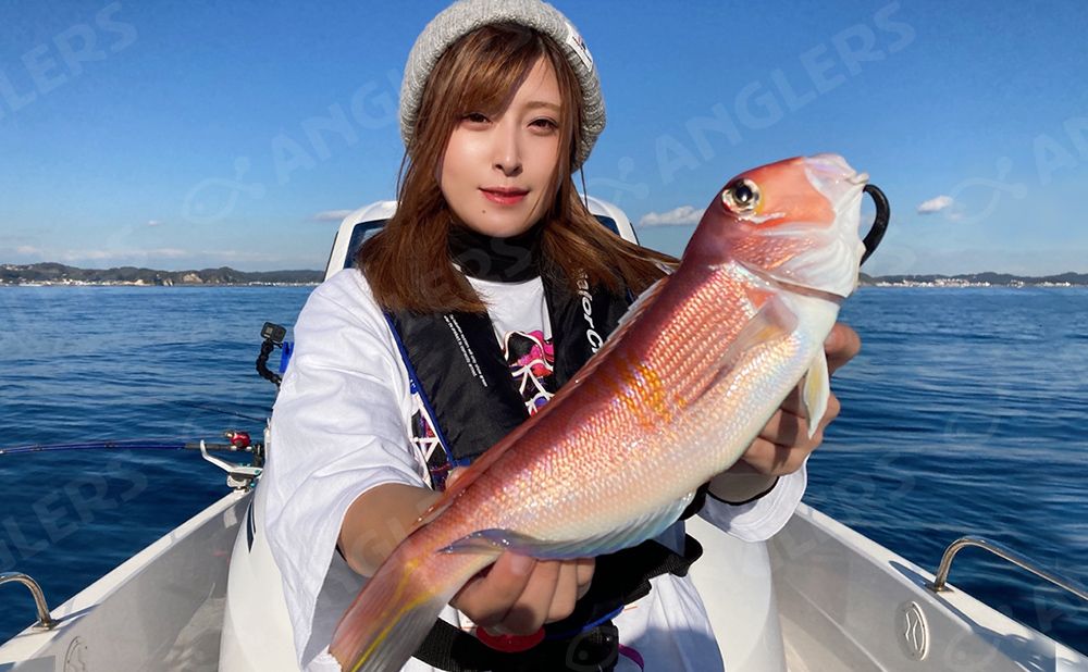 【貸切】午前便（ジギング、タイラバ、泳がせなど）