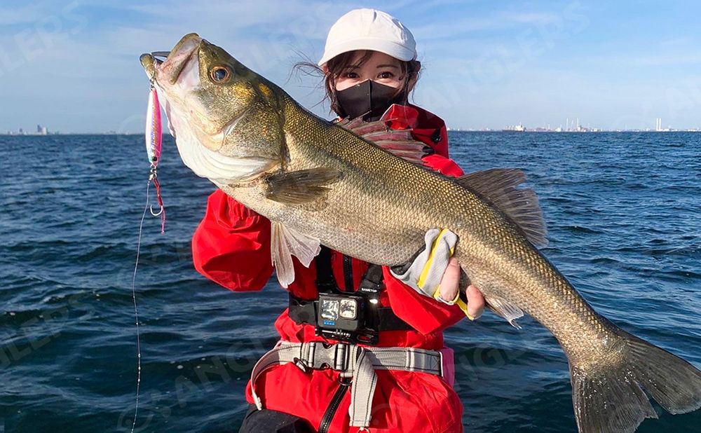 【通年】東京湾満喫！ 風の塔・海ほたる沖釣り乗り合いプラン