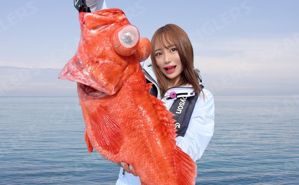 【チャーター】3時間コース