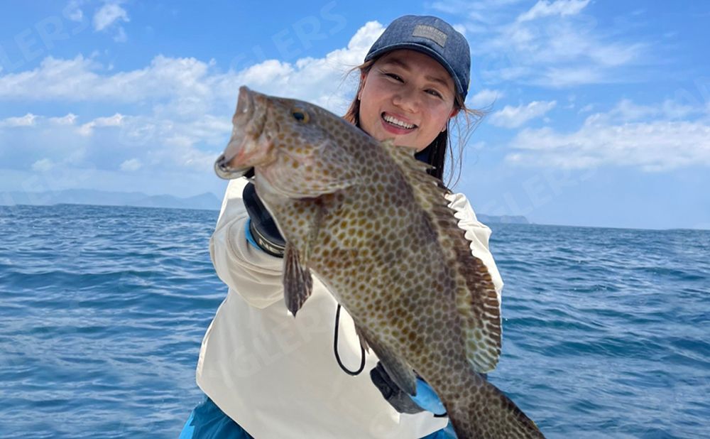 【午前】旬の魚を狙える！ルアー五目プラン