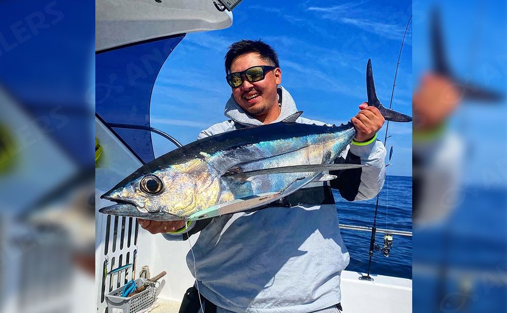 【仕立て】マグロキャスティング・カツオ(1日便)