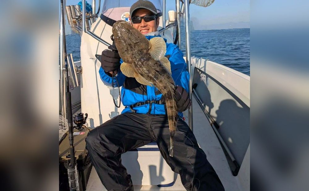 【仕立朝便】マゴチや青物、シーバスを狙え！4時間チャーター