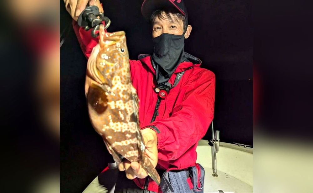 【仕立】キジハタ・カサゴを狙え！6時間ナイト便