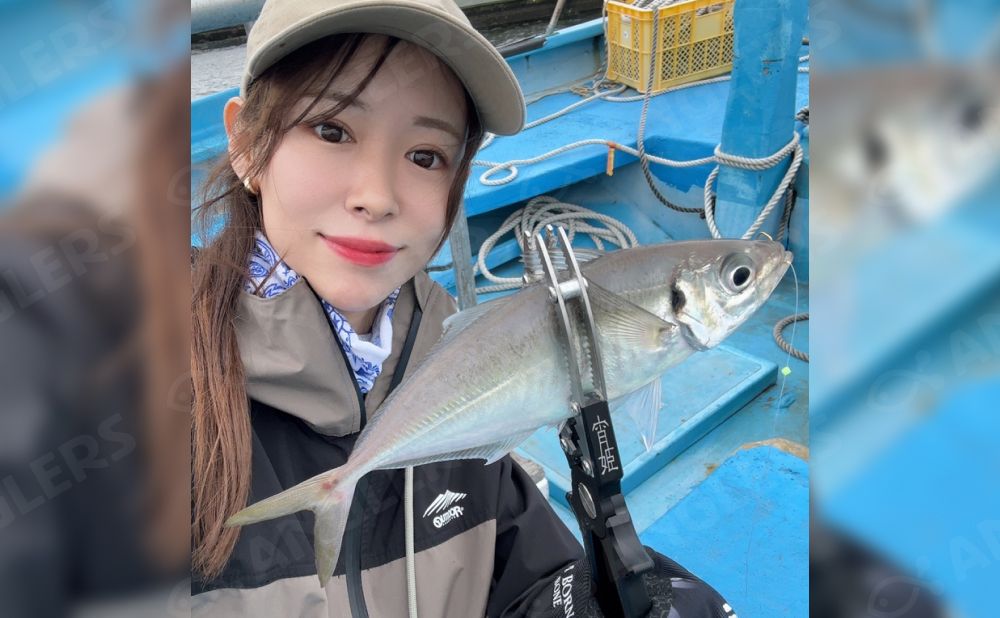 【アングラーズ限定プラン】平日7名分料金で貸切可能! LTアジ 午前ショート便