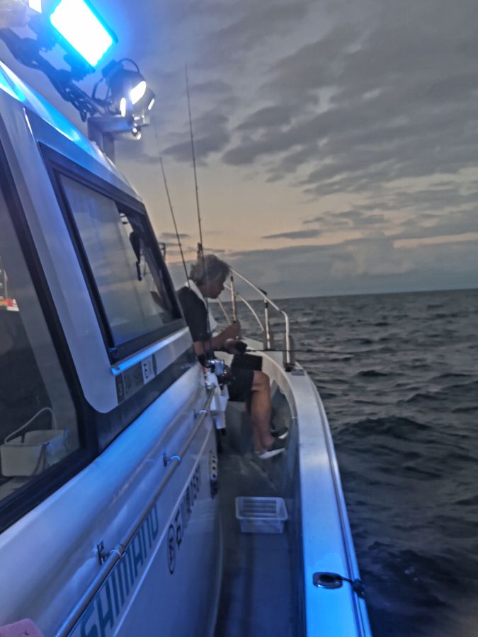 ケンサキイカメタル便