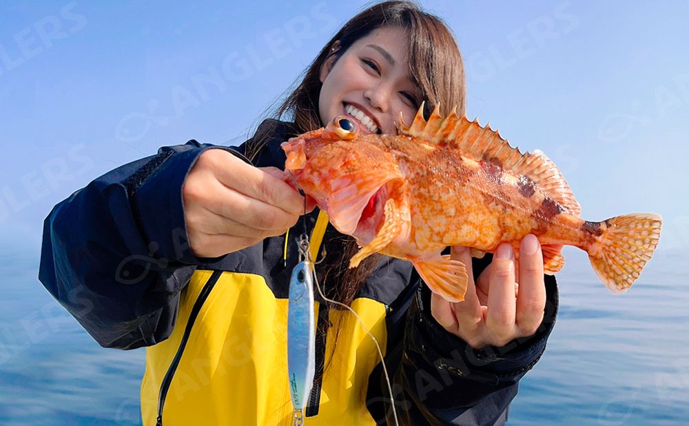 【土日祝チャーター】根魚ジギング