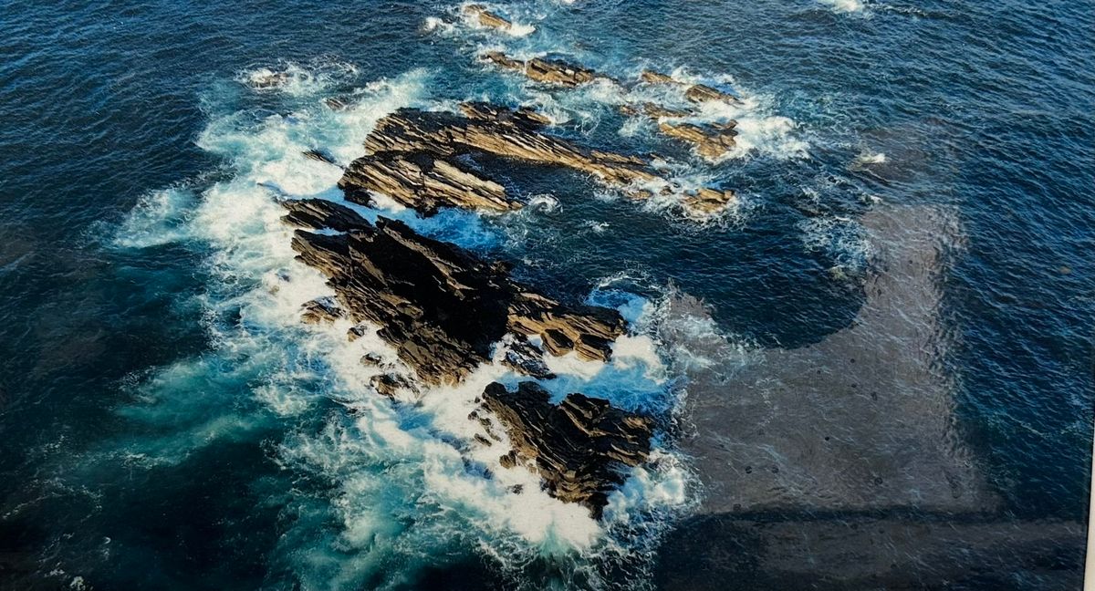 【渡船】千鳥島、猪ノ子島、亀ノ子島 渡船プラン（上級者向け）