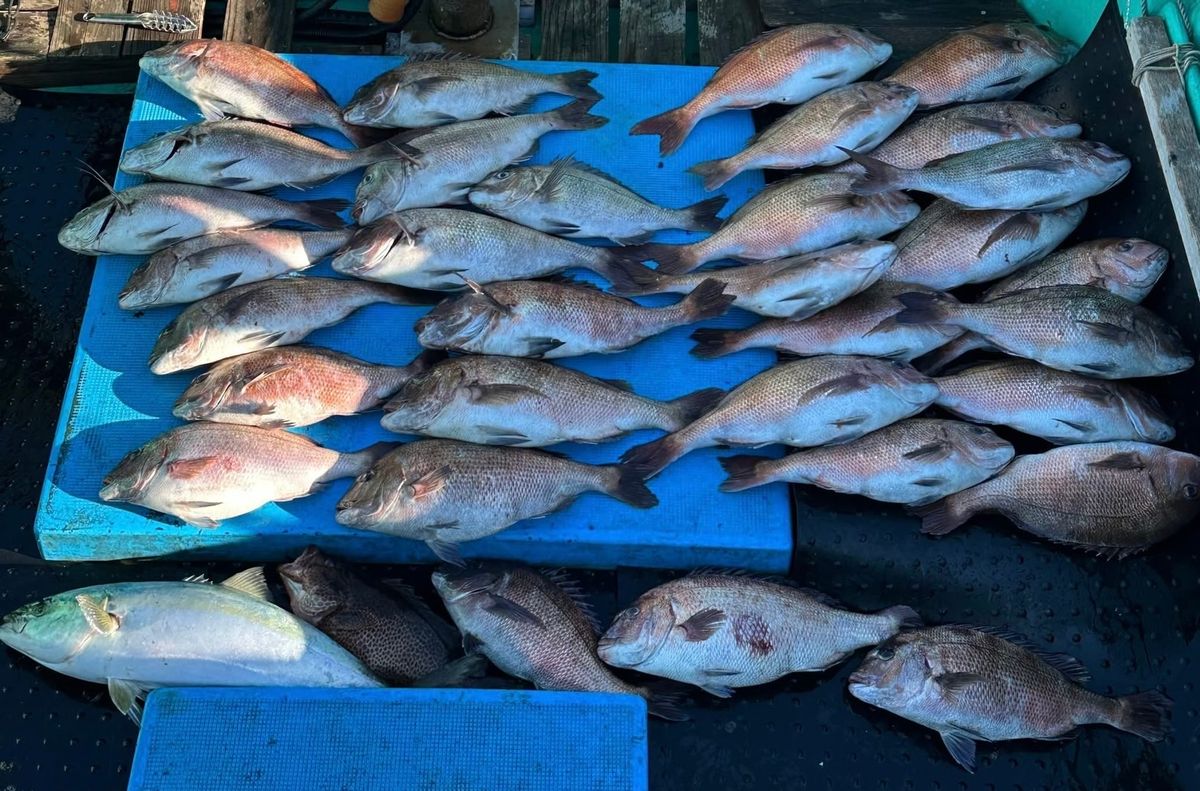 【仕立て】タイラバ・テンヤ釣り