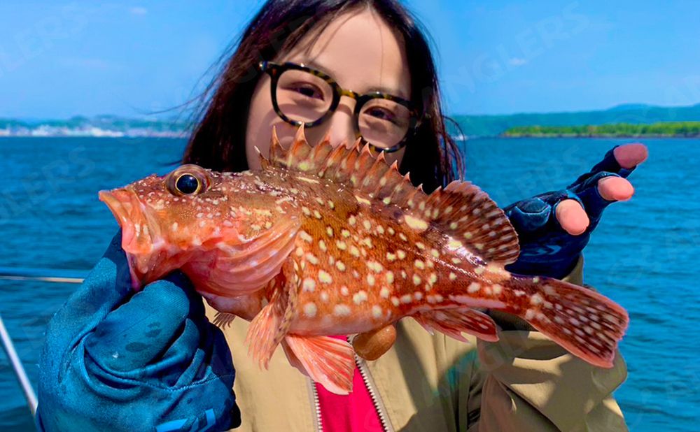 【仕立て】根魚ジギング便