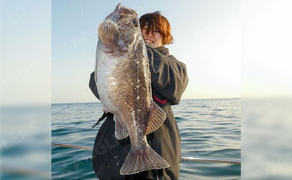 【平日仕立て】ロックフィッシュ