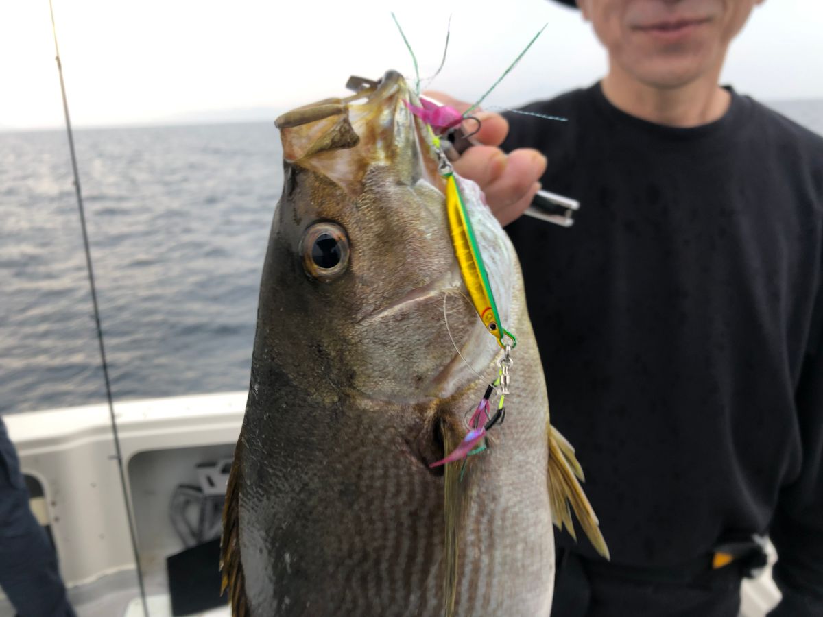 【乗合】SLJ(タイラバも可能!)