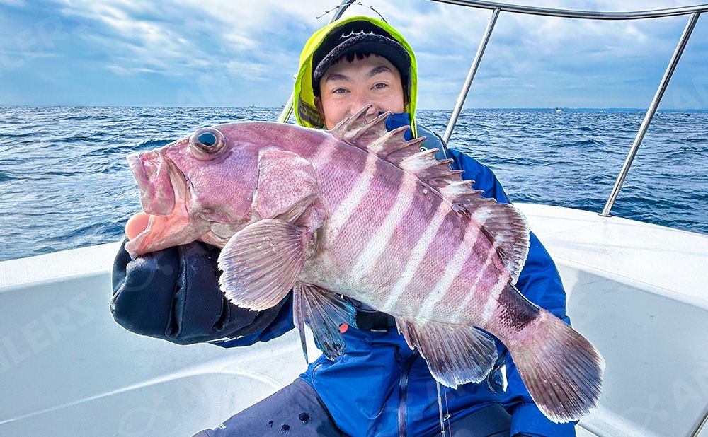 チカメキントキ、マハタ 根魚五目釣りプラン