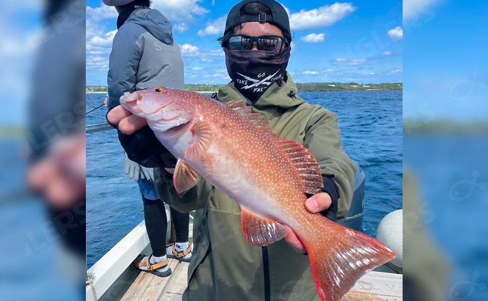 【午前チャーター】テンヤ・流し釣り