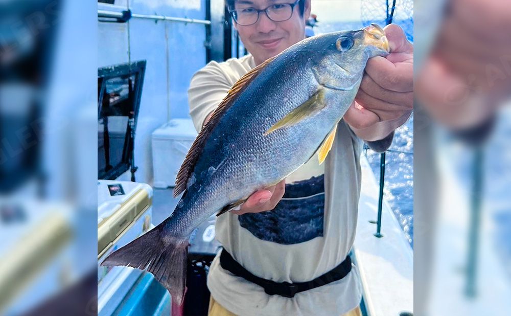 【乗合】かかり釣り・フカセ釣り