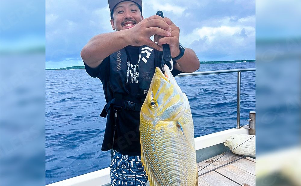 【貸切】半日流し釣り テンヤ・タイラバ(2号船/6号船)