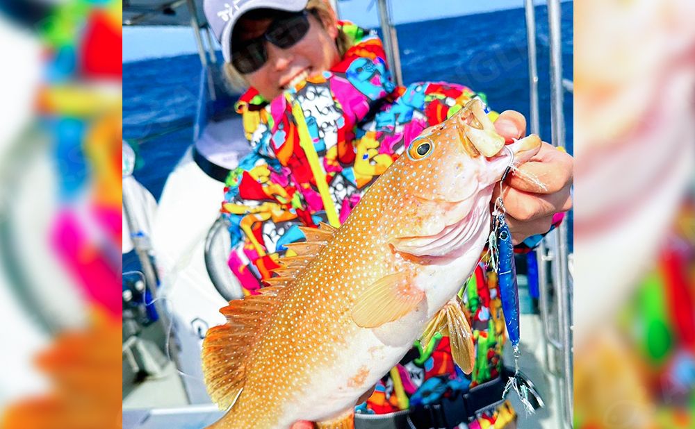 【貸切】1日流し釣り テンヤ・タイラバ(2号船/6号船)