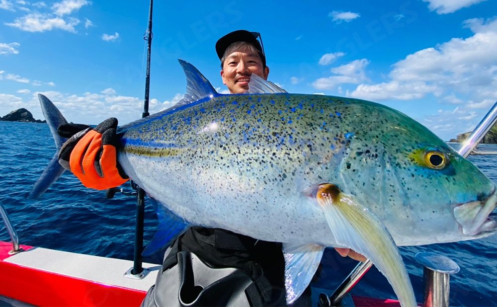 【貸切】半日ルアー釣りプラン(2号船/6号船)