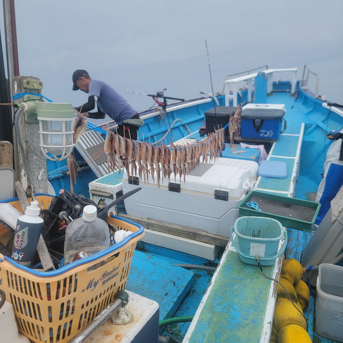 色々なリクエスト魚種のチャーター船