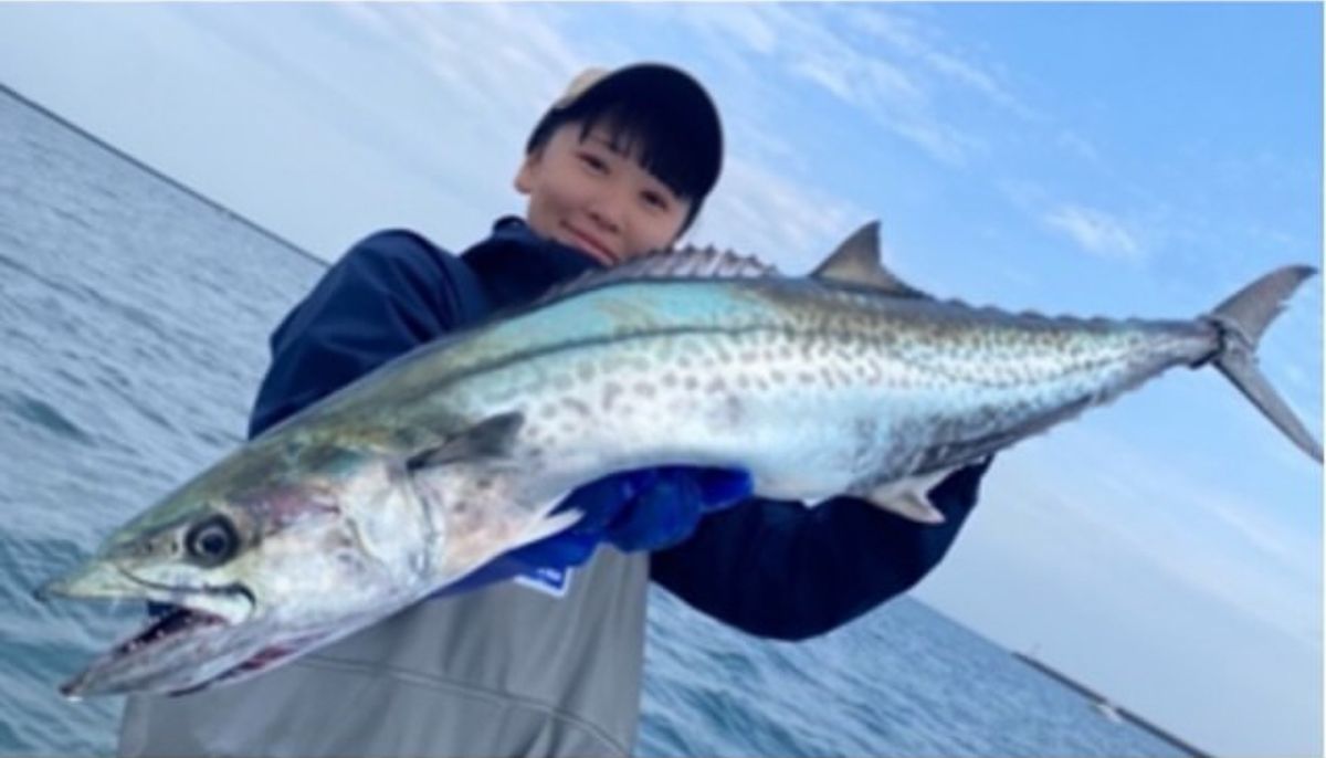 湾内午前便【貸切】