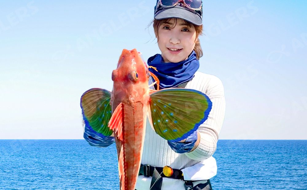 【土日祝チャーター】ジギング・SLJ&タイラバ