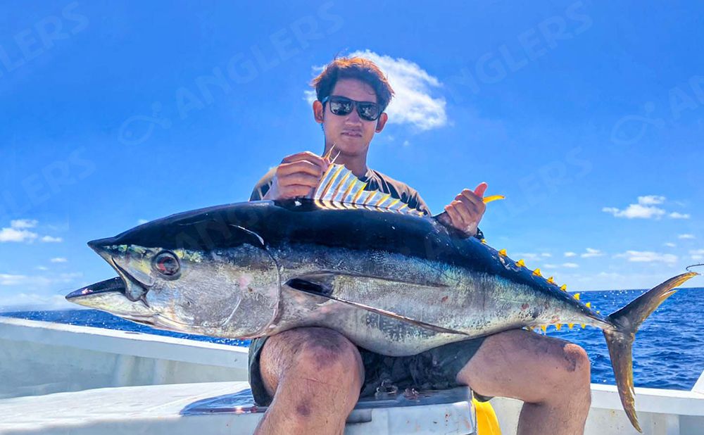 コマセ マグロ・カツオ・カンパチ・ヒラマサ・ハタ系の大物釣り