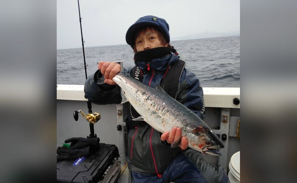 【仕立て】サクラマス便