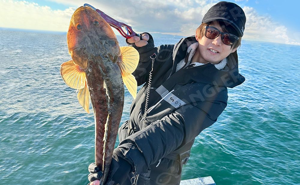 【仕立て】マゴチ・オオモンハタ