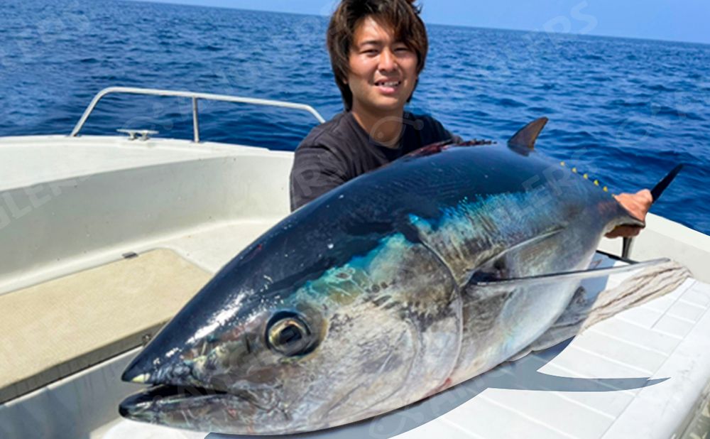 【チャーター】クロマグロプラン