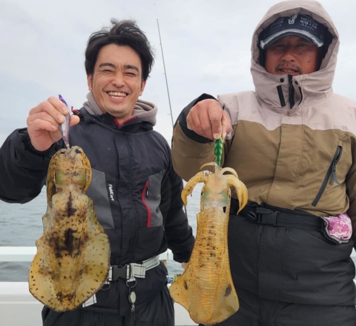 ティップラン 乗り合いプラン