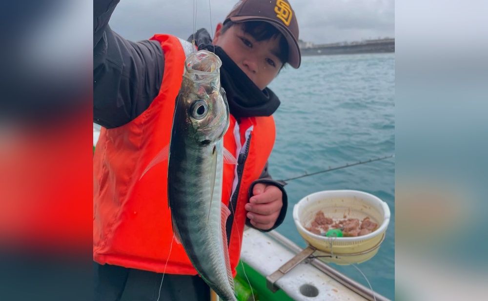 【平日】船長おすすめ！初心者の方歓迎のLT五目船プラン