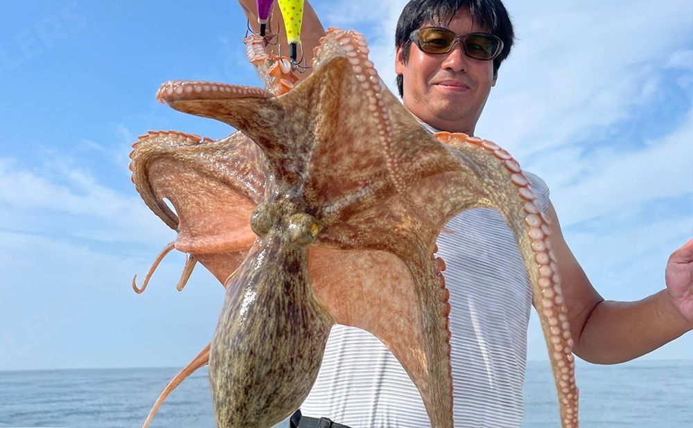 【貸切】湾奥プラン 午前便