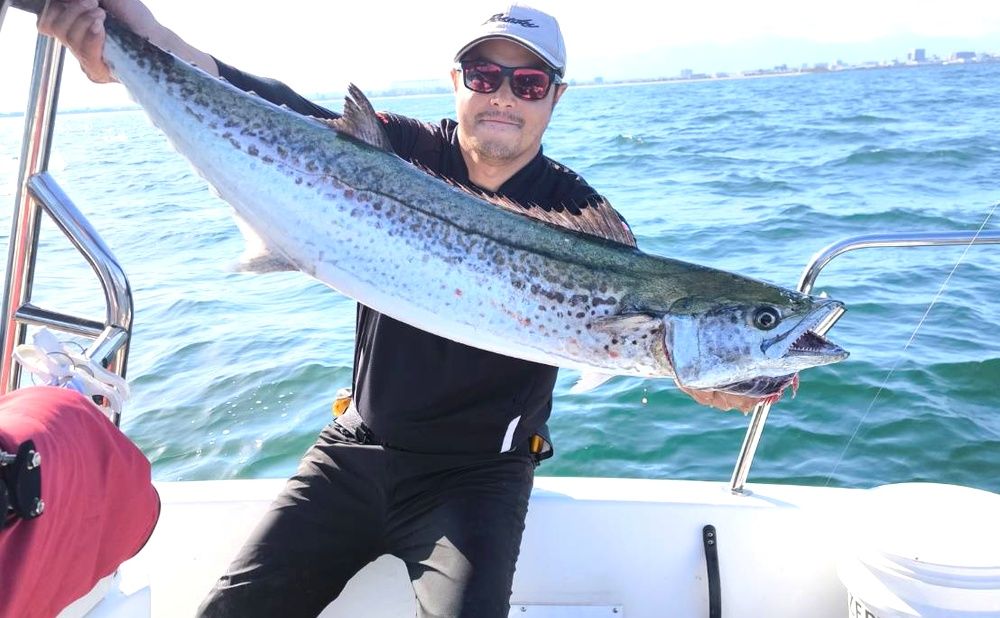 【乗合 9,000円〜12,000円】 午後 サワラキャスティング （人数により乗船料金変動）