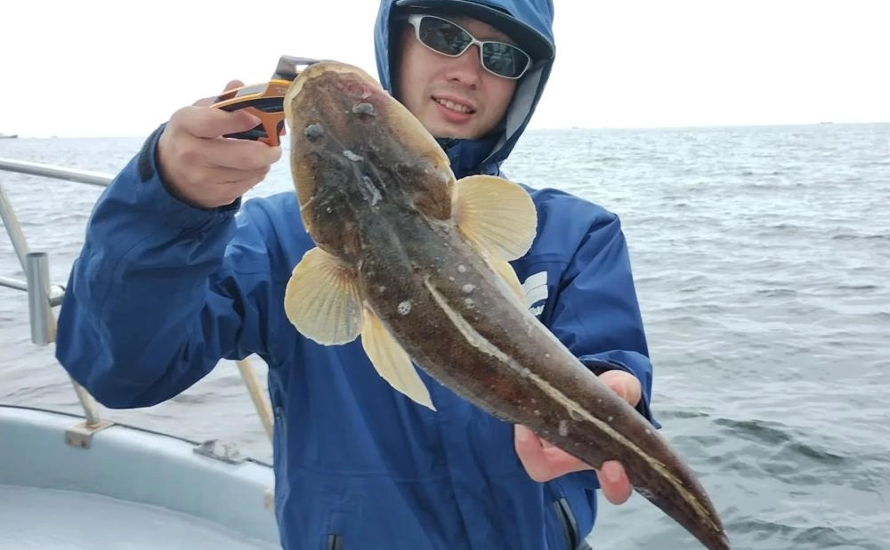 【乗合】午後 デイゲーム ベリーショート便